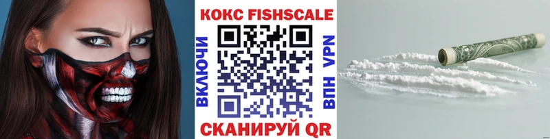 купить закладку  Сысерть  Кокаин Fish Scale 