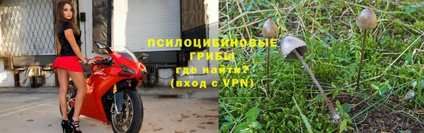 бутират Баксан